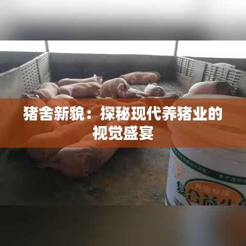 猪舍新貌:探秘现代养猪业的视觉盛宴