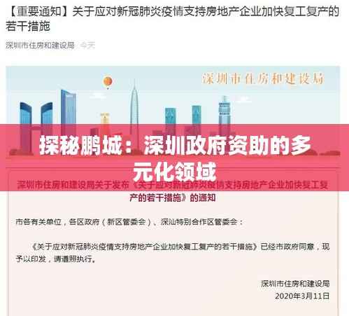 探秘鹏城:深圳政府资助的多元化领域