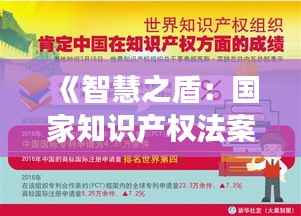 《智慧之盾:国家知识产权法案的创新之旅》