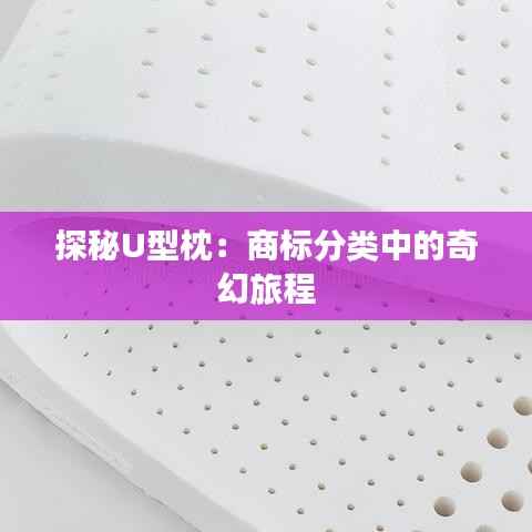 知识产权经营中心 第409页