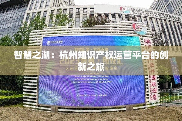 智慧之湖:杭州知识产权运营平台的创新之旅
