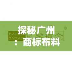 知识产权经营中心 第408页