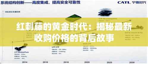 红刺藤的黄金时代:揭秘最新收购价格的背后故事