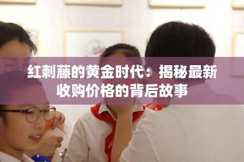 红刺藤的黄金时代:揭秘最新收购价格的背后故事