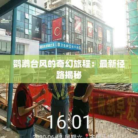 鹦鹉台风的奇幻旅程:最新径路揭秘