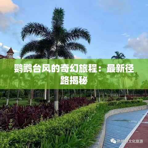 鹦鹉台风的奇幻旅程:最新径路揭秘