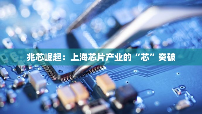 坌鸟先飞 第4页