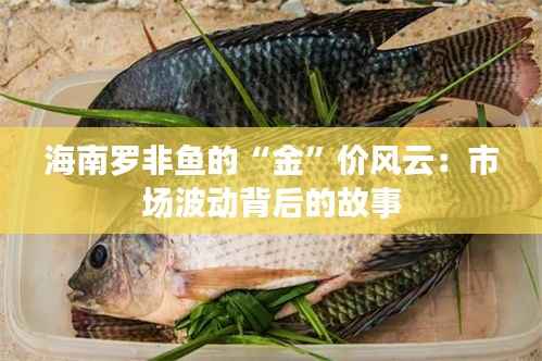 海南罗非鱼的“金”价风云:市场波动背后的故事