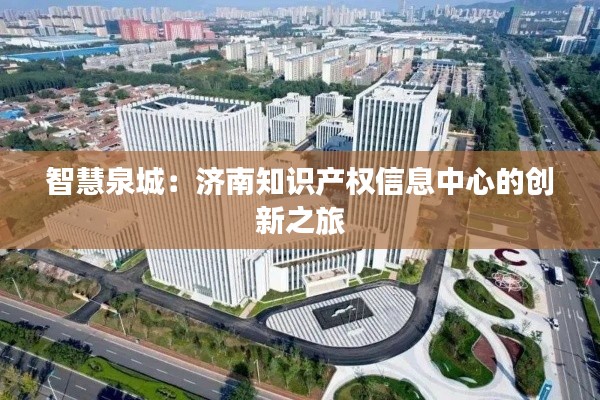 智慧泉城:济南知识产权信息中心的创新之旅