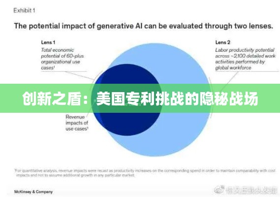 创新之盾:美国专利挑战的隐秘战场