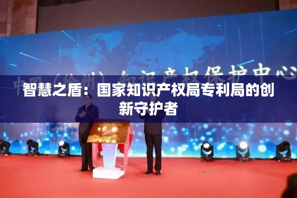 智慧之盾:国家知识产权局专利局的创新守护者