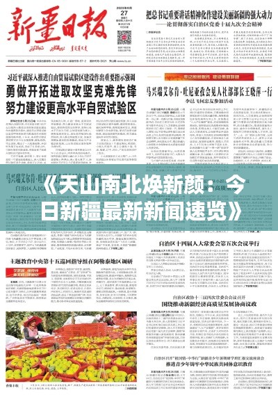 知识产权预算中心 第413页