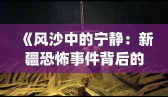 《风沙中的宁静：新疆恐怖事件背后的真相与希望》