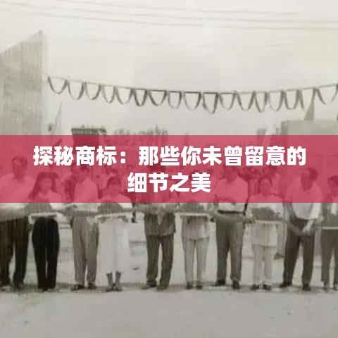 探秘商标:那些你未曾留意的细节之美