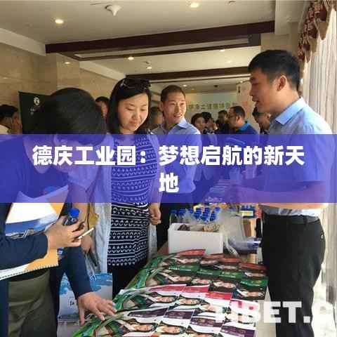 知识产权预算中心 第412页