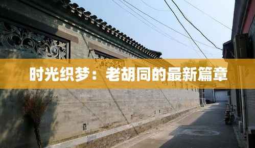时光织梦:老胡同的最新篇章