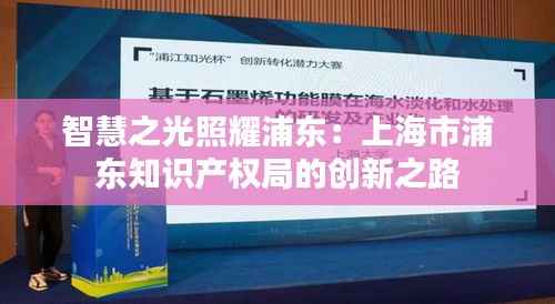智慧之光照耀浦东:上海市浦东知识产权局的创新之路
