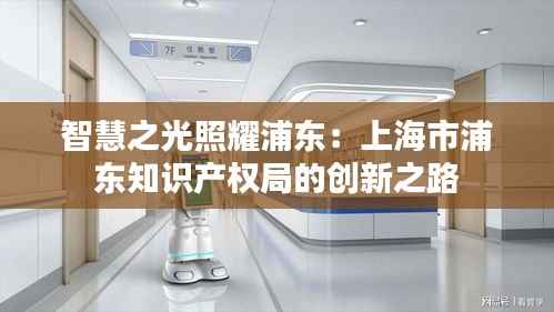智慧之光照耀浦东:上海市浦东知识产权局的创新之路