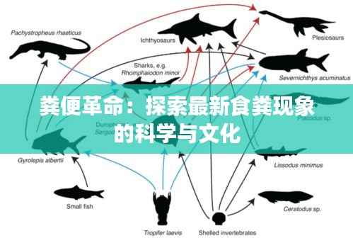 知识产权大数据中心 第393页