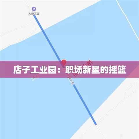 店子工业园:职场新星的摇篮