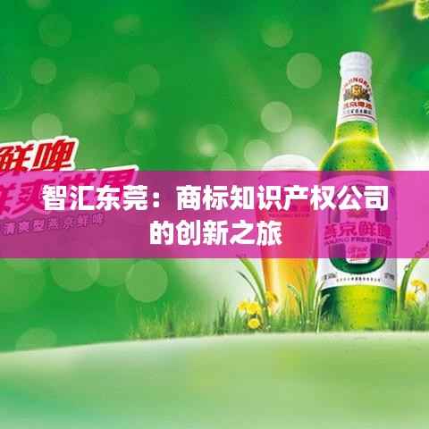 智汇东莞:商标知识产权公司的创新之旅