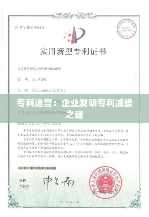 专利迷宫:企业发明专利减缓之谜