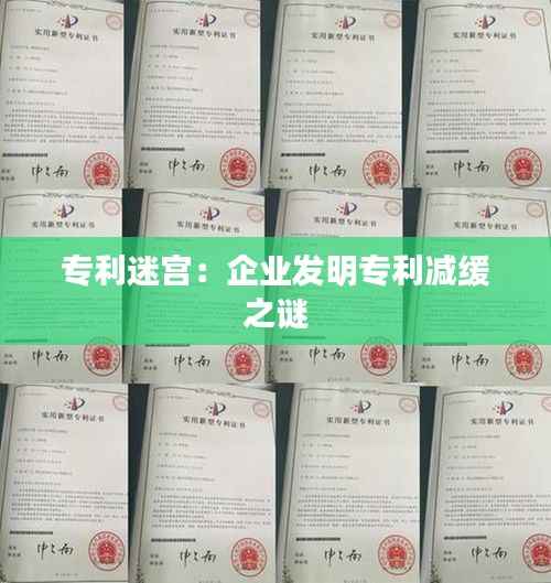 专利迷宫:企业发明专利减缓之谜