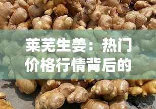 莱芜生姜:热门价格行情背后的“金疙瘩”传奇