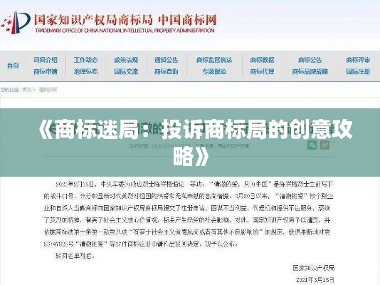 《商标迷局:投诉商标局的创意攻略》