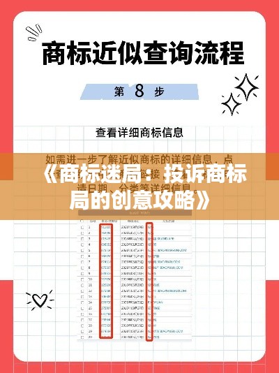 《商标迷局:投诉商标局的创意攻略》