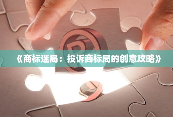 《商标迷局:投诉商标局的创意攻略》