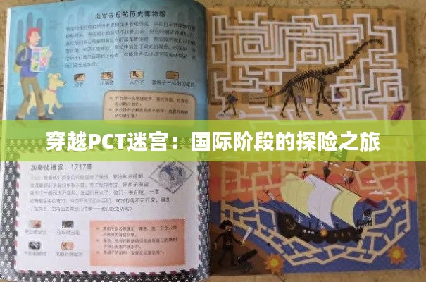 知识产权预算中心 第407页