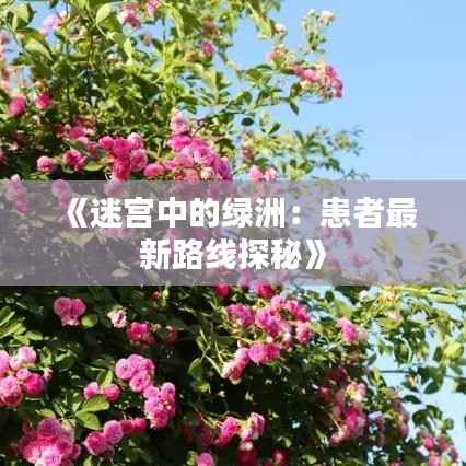 《迷宫中的绿洲:患者最新路线探秘》