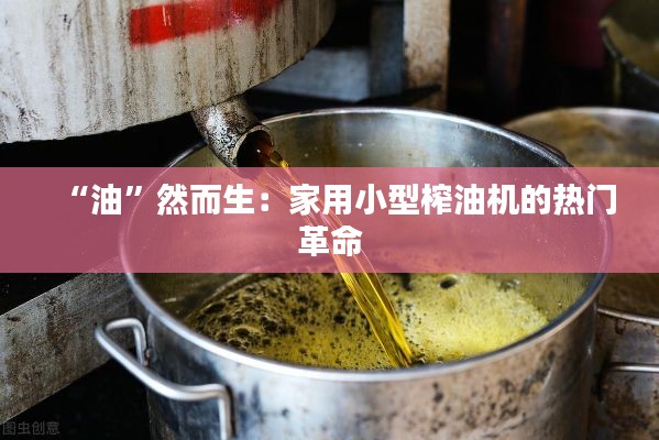 “油”然而生:家用小型榨油机的热门革命