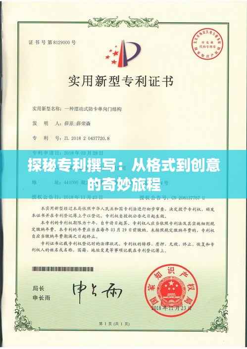 探秘专利撰写:从格式到创意的奇妙旅程