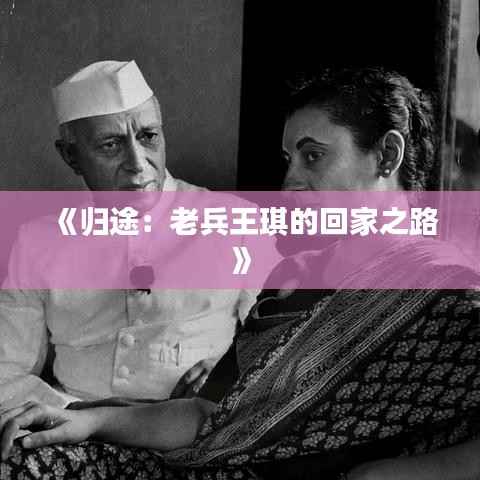 《归途:老兵王琪的回家之路》