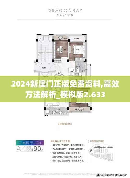 2024新澳门正版免费资料,高效方法解析_模拟版2.633