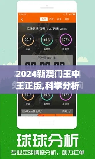 2024新澳门王中王正版,科学分析解析说明_复刻版9.907