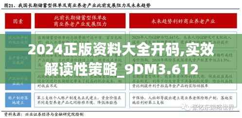 2024正版资料大全开码,实效解读性策略_9DM3.612