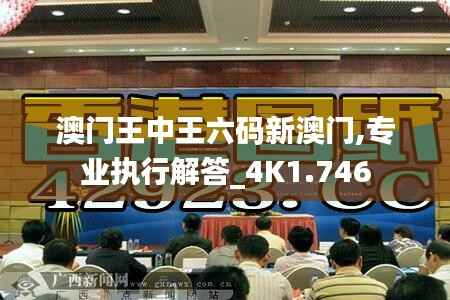 澳门王中王六码新澳门,专业执行解答_4K1.746