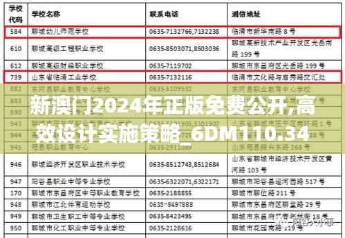 新澳门2024年正版免费公开,高效设计实施策略_6DM110.345