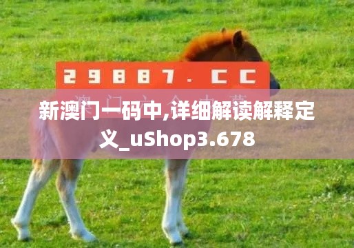 新澳门一码中,详细解读解释定义_uShop3.678
