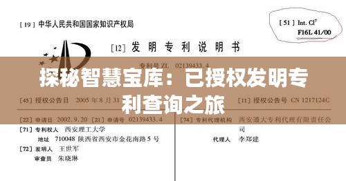 探秘智慧宝库:已授权发明专利查询之旅