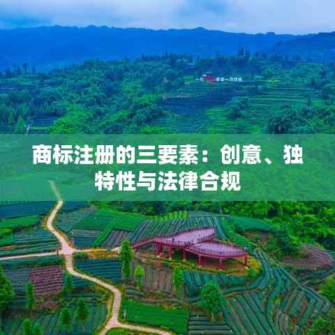 商标注册的三要素:创意、独特性与法律合规
