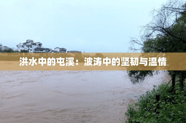 洪水中的屯溪:波涛中的坚韧与温情