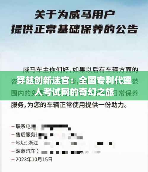 穿越创新迷宫:全国专利代理人考试网的奇幻之旅