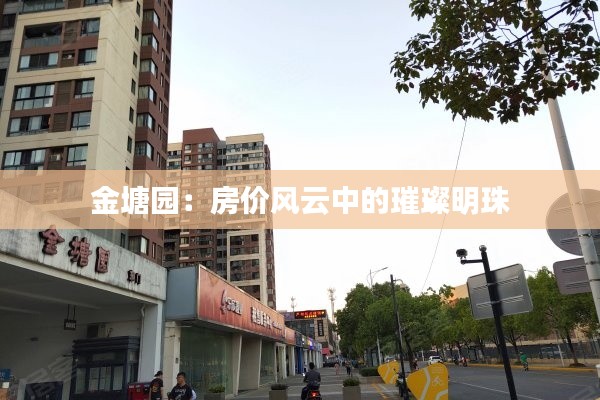 金塘园:房价风云中的璀璨明珠