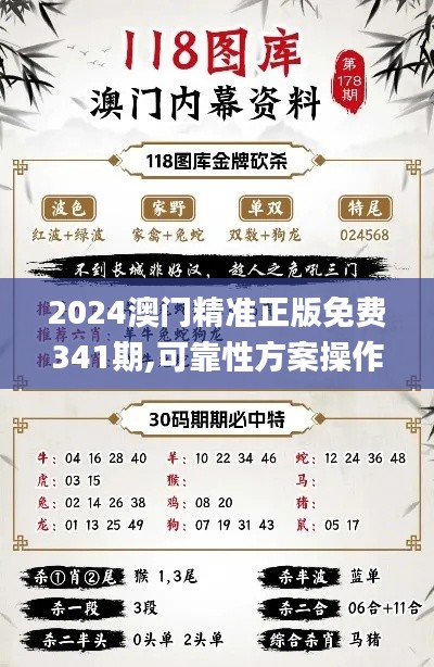 2024澳门精准正版免费341期,可靠性方案操作策略_pack1.290