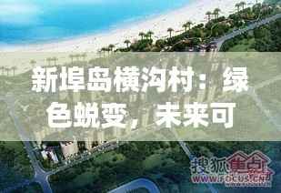 新埠岛横沟村:绿色蜕变,未来可期