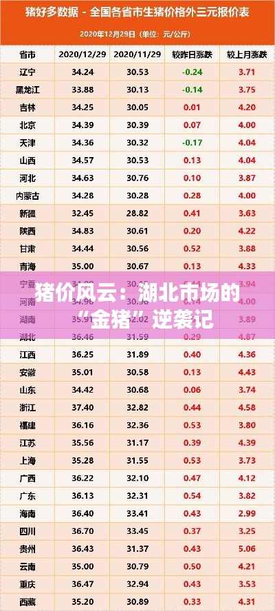 猪价风云:湖北市场的“金猪”逆袭记